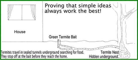 How termite baits work - image