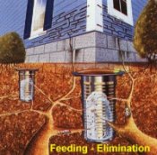 Feeding / Colony Elimination